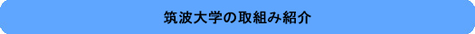 取組み紹介